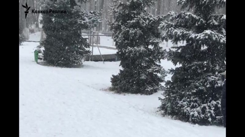 В махачкале гражданские активисты защищают парк от вырубки под музей