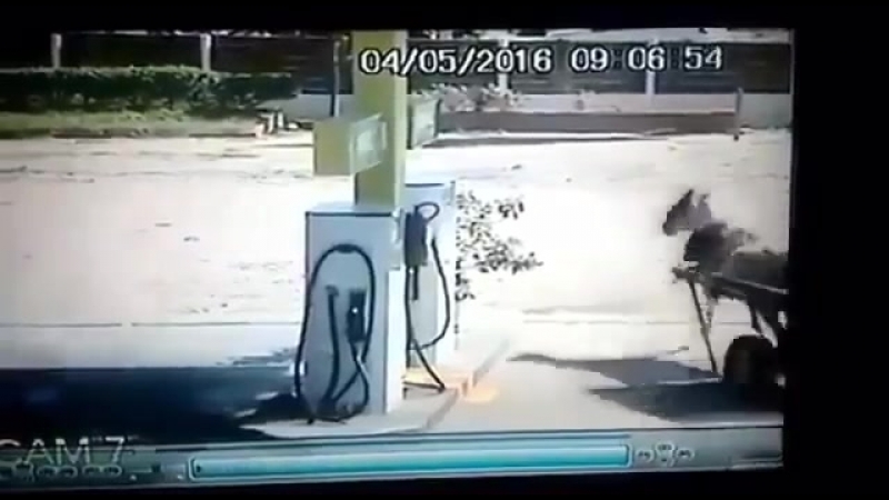 ✔ особое мнение интересно, каким его топливом заправили?