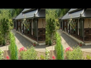 Panasonic demo furusato(3d halfsbs)