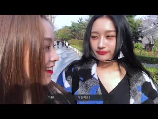 [dreamcatcher’ vlog ] 가현이의 브이로그 벚꽃놀이 롯데월드 편