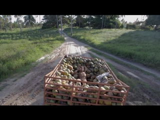 Geova manoel dos santos ventos de agosto part2