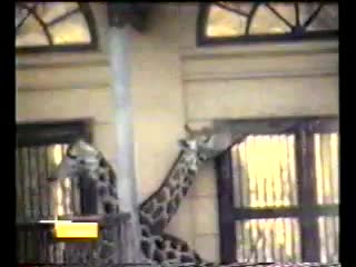 Sofa surfers live in malmo