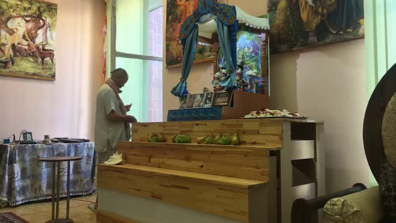 Арати в гауранге уже началось