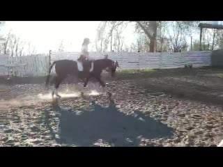 Ксюша и филя