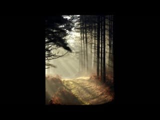 Rethinks перемысли composer vitaly dudnikov (солнцемёд sun honey)