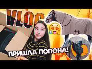 Vlog распакоа конной посылки! + примерка