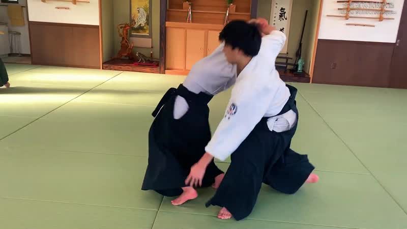 High speed and dynamic aikido women ( part 1 )