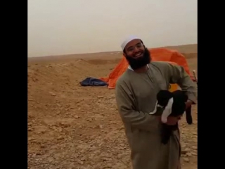 Классно прикололись