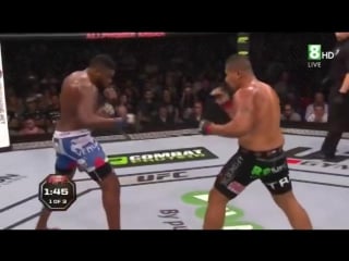Soa palelei vs walt harris