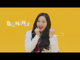 Momoland banana chacha