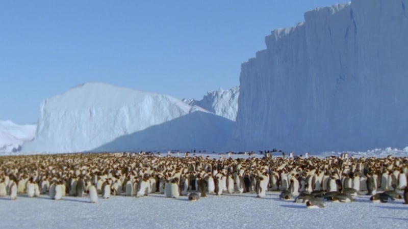 Молодые снегов / snow babies (2012) hd 720p