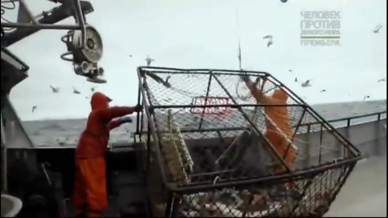 Оголтелая рыбалка 2 сезон 3 серия (смертельная треска)