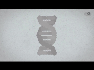 Как расшифровать геном человека