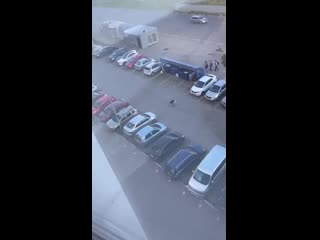 Наверное она его очень сильно достала 😂 пьяная деффка 😉