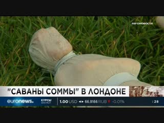 Euronews 09 11 2018 0300мск 0100цев