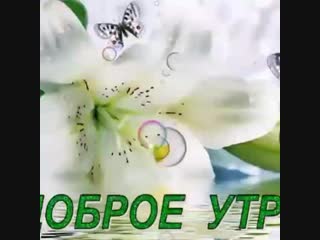 Vid 20880830 144030 019 mp4