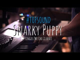 Snarky puppy ► lingus [we like it here]