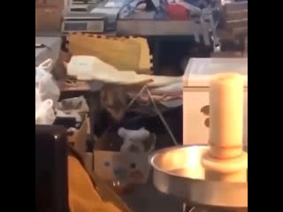 Rihanna on instagram “update me listening to r9 by myself and refusing to release it