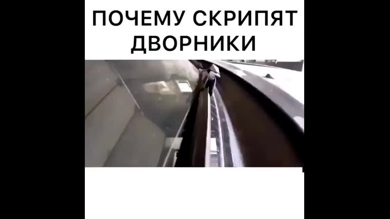 Почему скрипят дворники