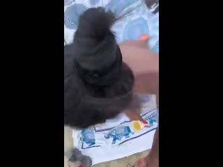 На нудиском пляже (порно, минет, секс, голая, молодые bdsm, шлюха, инцест, домашнее, porno, sex, ебут, мжм, бдсм, анал, пизда,)