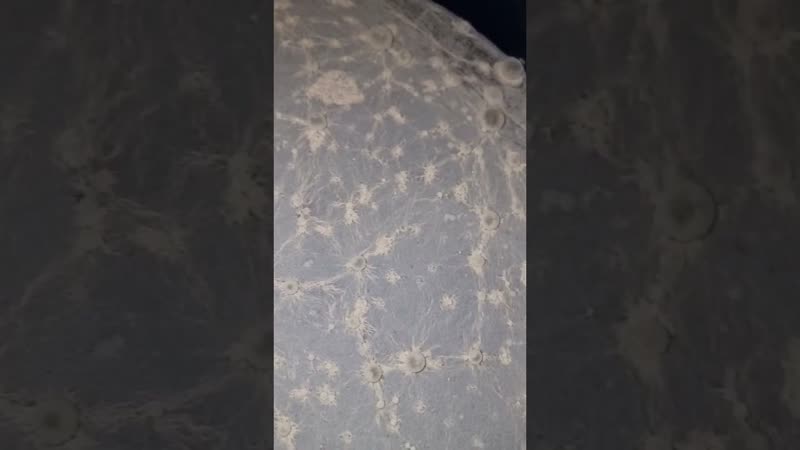 Скисла зерновая брага но это красиво! лунный пейзаж) #брага #зерно #самогон #дезинфекция