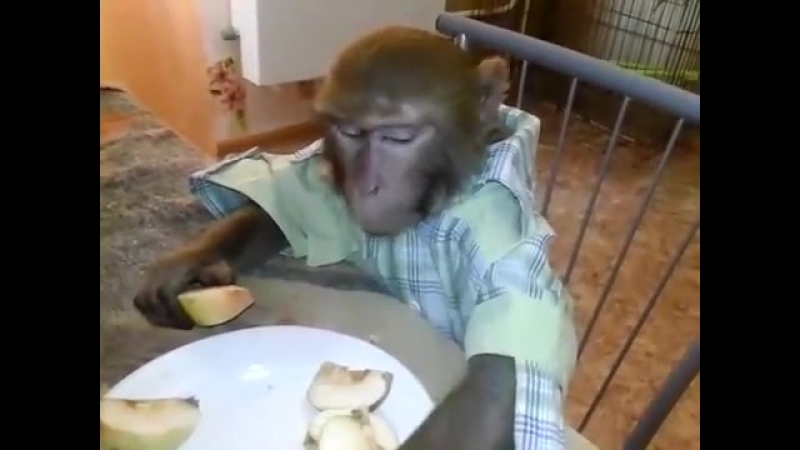 Яков николаевич