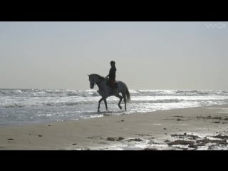 Met oliva nova russian team by the sea