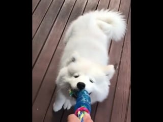 Мини палочка orka