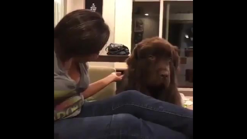 Понял свой косяк и признал вину