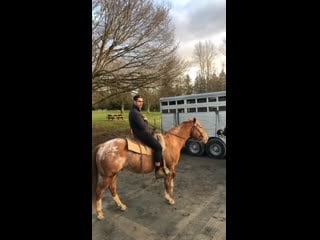 Storysaver shelby flannery 74829594 487191818884064 153229786507691435 n mp4