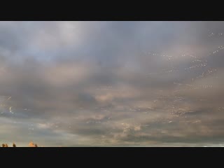 Birds flying under a raincloud at sunset