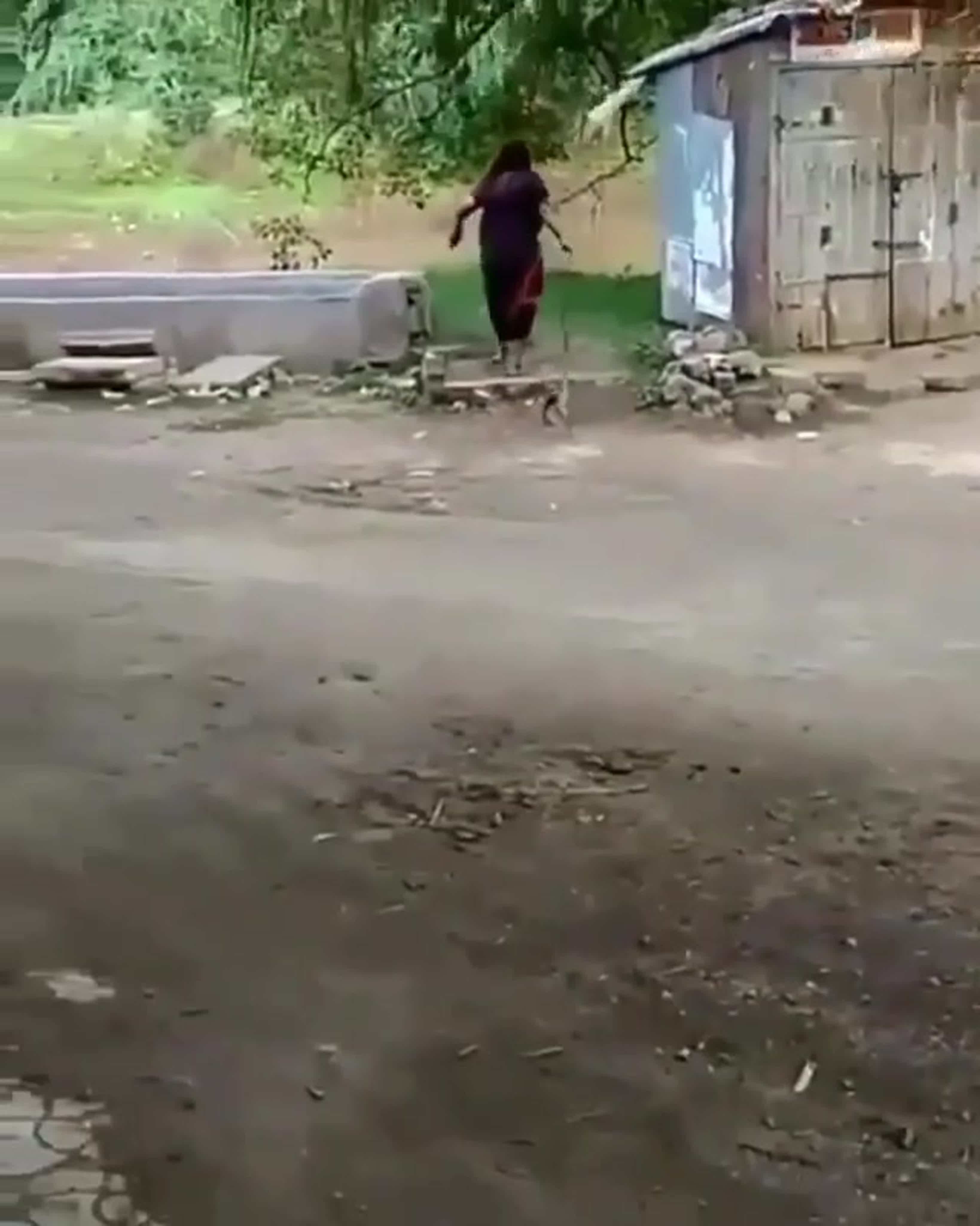 Выгнала незваного гостя 😂😂🐍 watch online