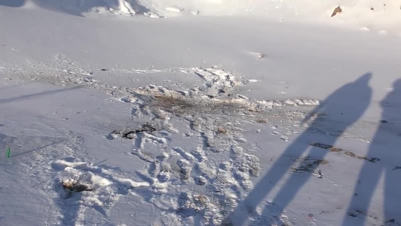 [цимус] ✅ топ 100 петард на новый год 🔥 большая петарда к 2021 удивила 💥 все корсары | мощная петарда в снег