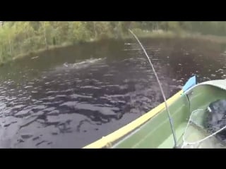 Fishing Порно Видео | ecstaticfest.ru