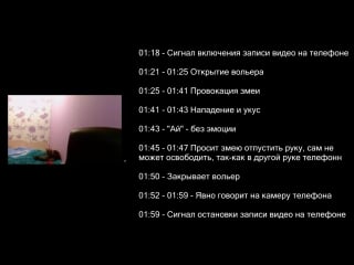 Арслан валеев записал укус на мобильный телефон?? та самая "запись для кати"?