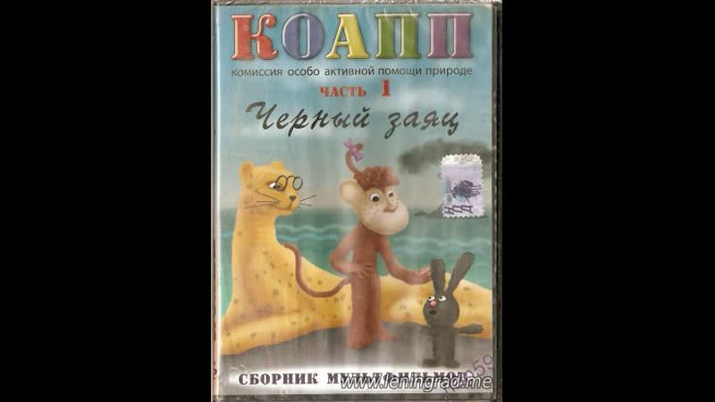 Экран porn video – Коапп чёрный заяц (1984) то экран