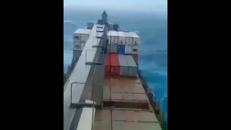 Disappointed disappointed ship sea love maritime shipping boat art vessel ocean ships ( 800 x 640 )