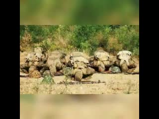 Pakistani new army song tune jab bhi pukara humain aye watan(360p) mp4