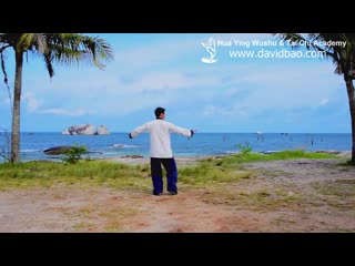 Chen tai chi new frame first routine (xin jia yi lu) 83 form陈氏太极拳新架一路83式 part 2