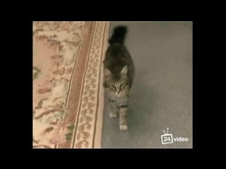 Рита и настя