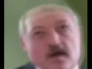 Лукашенко флексит под моргена