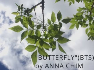 "butterfly" (bts) anna chim version