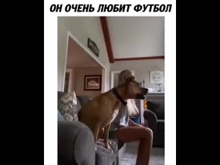 Blue sky football 24012021 0001 mp4