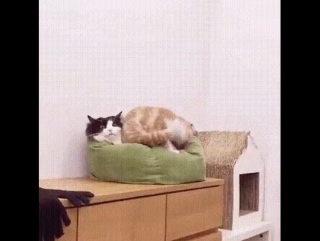 Сверху удобнее)))