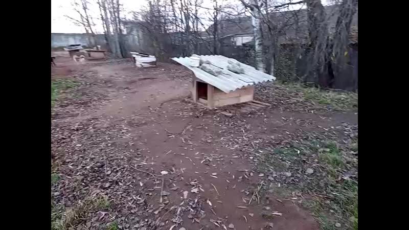 Мушка плачет и скучает по дому