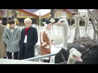 [fancafe] 180219 sf9 secret code 9 behind the scenes #1