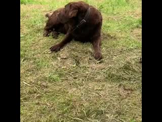 Nikulina tatyana 20200716 26 mp4