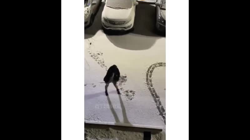 Как позвать подругу гулять