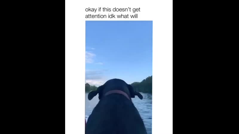 Slip porn video – Hе slip, hе dip but mоstly impоrtant, his еars gо flip flip