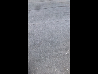 Исфара live